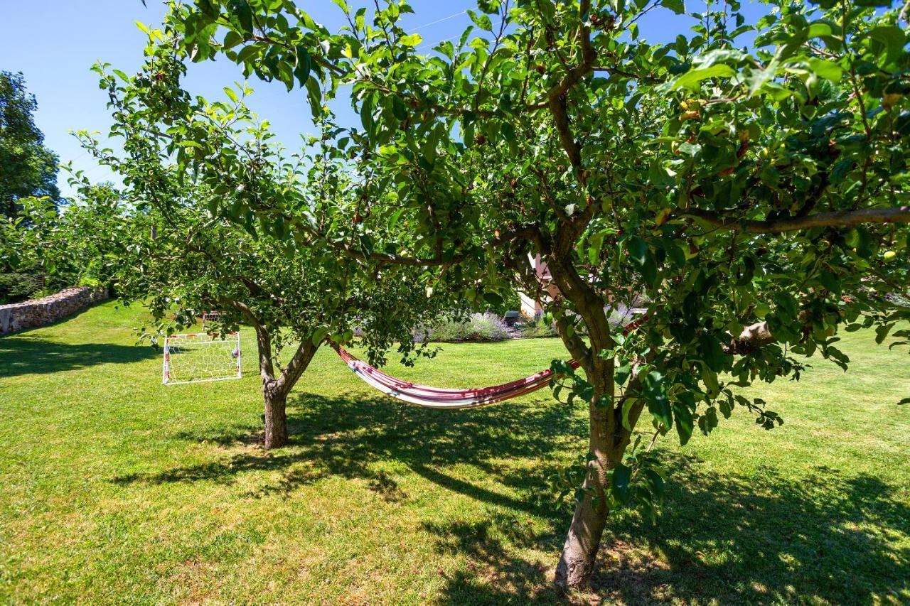 Villa Krizanci Žminj Exteriör bild