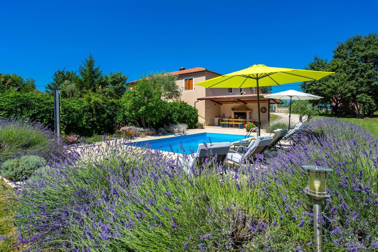 Villa Krizanci Žminj Exteriör bild